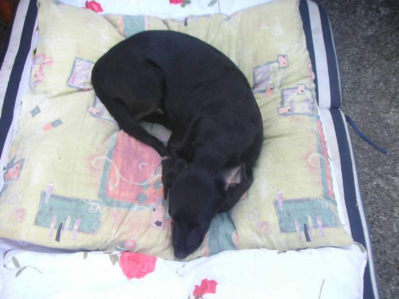 pict0014.jpg