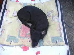 pict0014.jpg